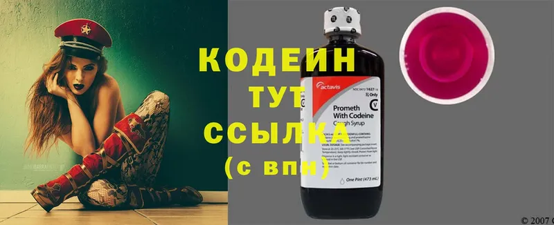 купить закладку  гидра как зайти  Кодеин Purple Drank  Новоржев 